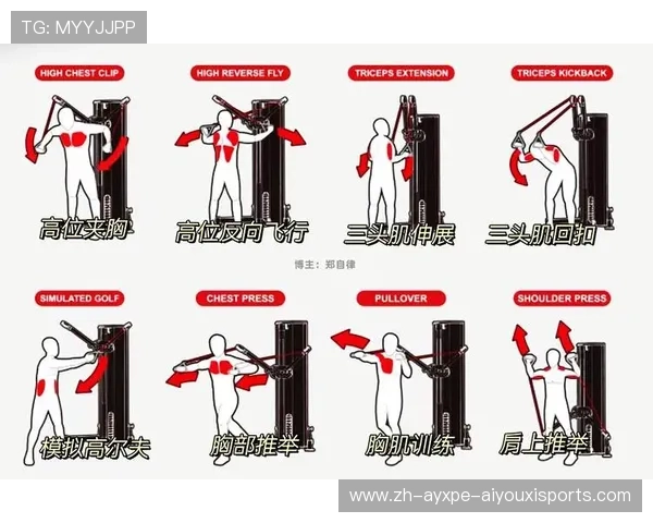 各类健身器材使用方法与目标肌群搭配建议