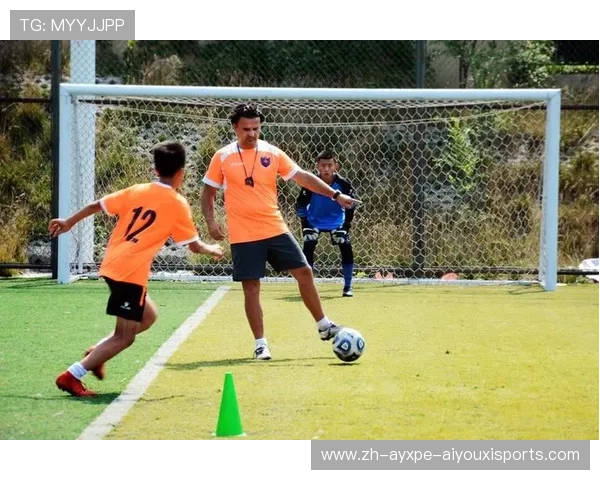 足球青训体系的发展模式与成功案例